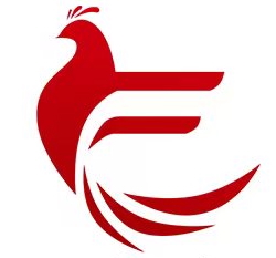 飞智超 logo
